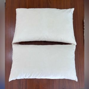 Pottery Barn Decorative Pillow Down Inserts